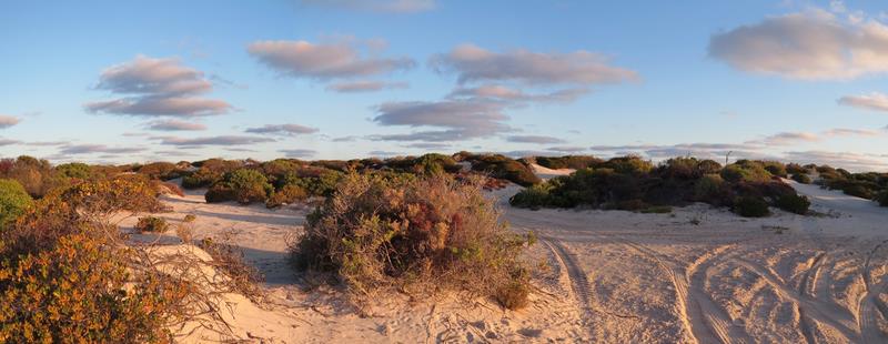 Cliquez pour agrandir l'image