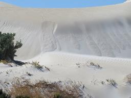 Cliquez pour agrandir l'image