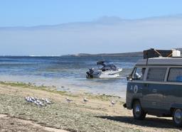 Cliquez pour agrandir l'image