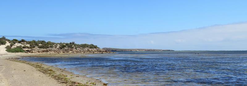 Cliquez pour agrandir l'image