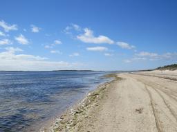 Cliquez pour agrandir l'image