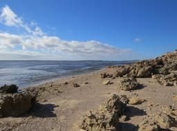 Cliquez pour agrandir l'image