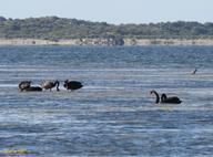 Cliquez pour agrandir l'image