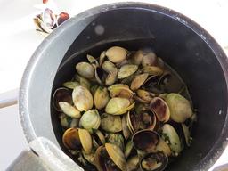 Cliquez pour agrandir l'image