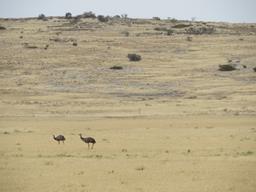 Cliquez pour agrandir l'image