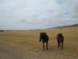 Cliquez pour agrandir l'image