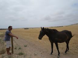 Cliquez pour agrandir l'image