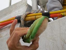 Cliquez pour agrandir l'image Cliquez pour agrandir l'image