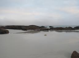 Cliquez pour agrandir l'image