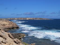 Cliquez pour agrandir l'image