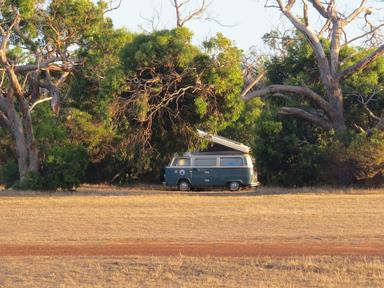 Cliquez pour agrandir l'image