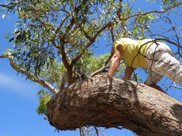 Cliquez pour agrandir l'image