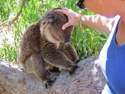 Cliquez pour agrandir l'image