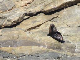 Cliquez pour agrandir l'image