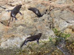 Cliquez pour agrandir l'image