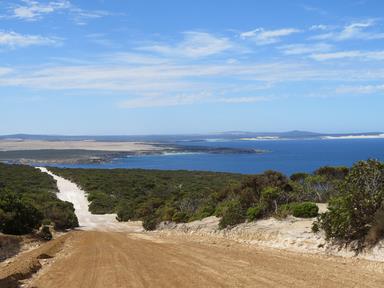 Cliquez pour agrandir l'image