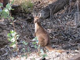 Cliquez pour agrandir l'image