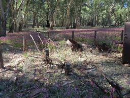 Cliquez pour agrandir l'image