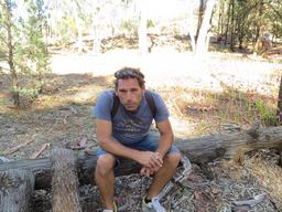 Cliquez pour agrandir l'image