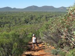 Cliquez pour agrandir l'image