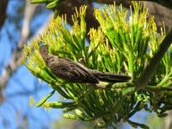 Cliquez pour agrandir l'image