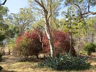 Cliquez pour agrandir l'image