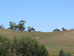 Cliquez pour agrandir l'image