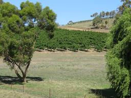 Cliquez pour agrandir l'image