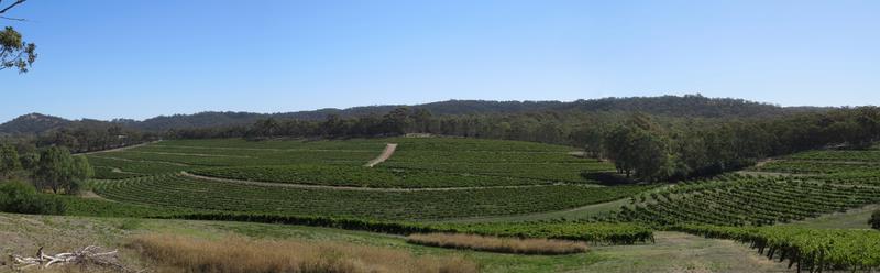 Cliquez pour agrandir l'image