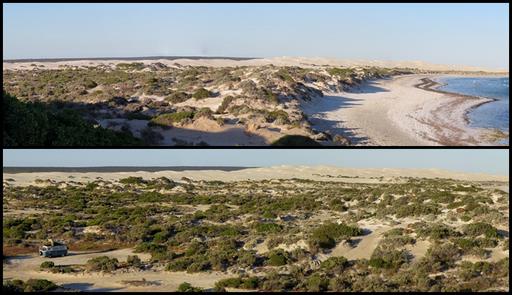 Cliquez pour agrandir l'image