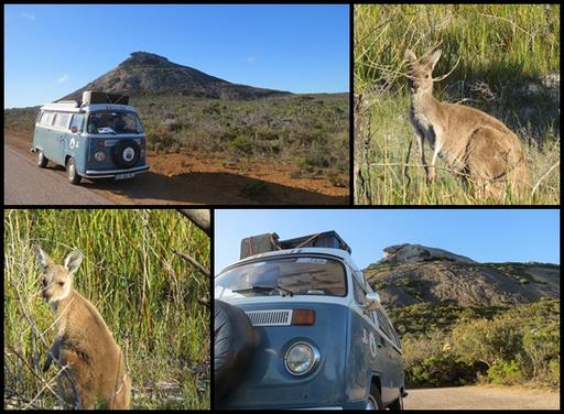 Cliquez pour agrandir l'image