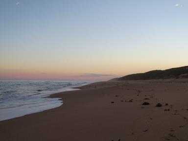 Cliquez pour agrandir l'image