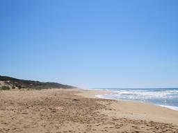 Cliquez pour agrandir l'image