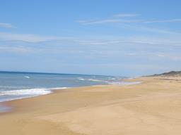 Cliquez pour agrandir l'image