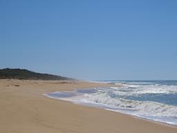 Cliquez pour agrandir l'image