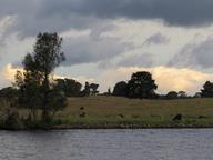 Cliquez pour agrandir l'image