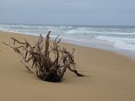 Cliquez pour agrandir l'image