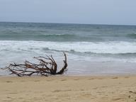 Cliquez pour agrandir l'image