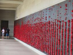 Cliquez pour agrandir l'image