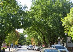 Cliquez pour agrandir l'image