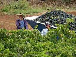 Cliquez pour agrandir l'image