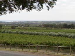 Cliquez pour agrandir l'image