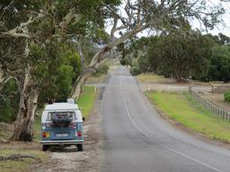 Cliquez pour agrandir l'image