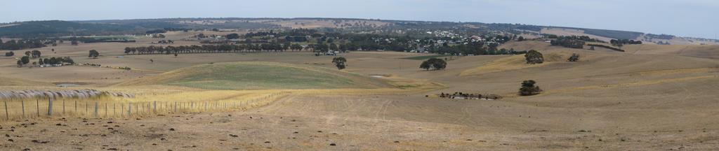 Cliquez pour agrandir l'image