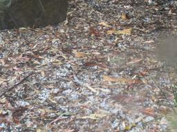 Cliquez pour agrandir l'image