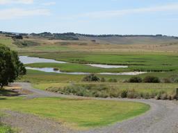 Cliquez pour agrandir l'image