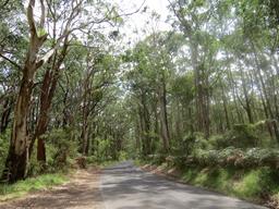 Cliquez pour agrandir l'image