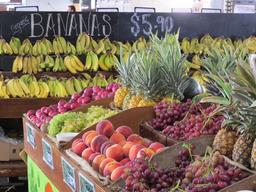 Cliquez pour agrandir l'image