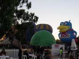 Cliquez pour agrandir l'image