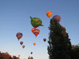 Cliquez pour agrandir l'image